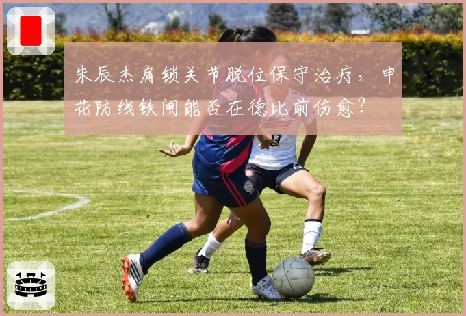 朱辰杰肩锁关节脱位保守治疗,申花防线铁闸能否在德比前伤愈?